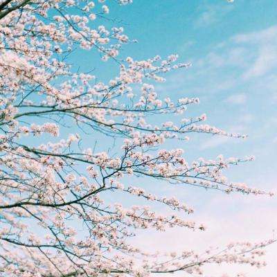 打鱼下载下载手机版